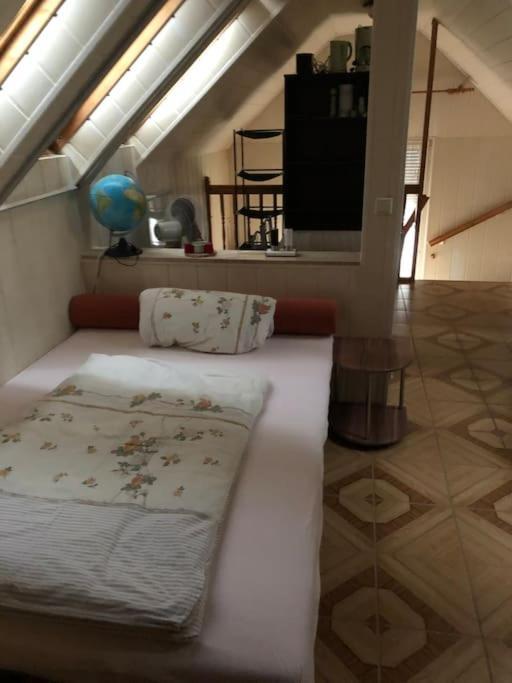 Apartment Cozy Ferienapartment In Nahe Tropical Island